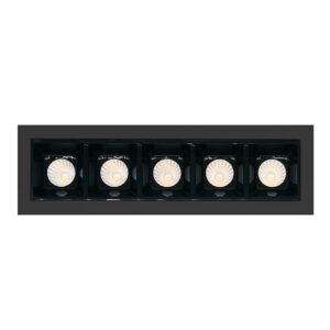LED Multi-Head Recessed Downlight